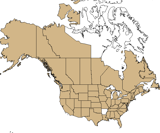 stinging nettle range map