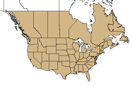 mappa dell'areale dell'USDA Oxalis L.